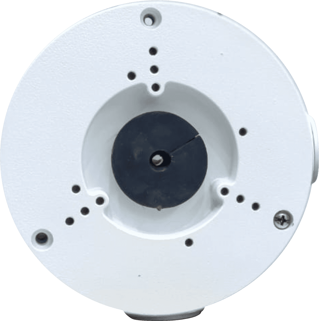 iL-BB12